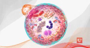 proces oczyszczania organizmu