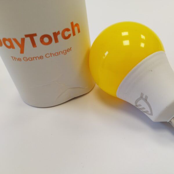 Żarówka DayTorch E27