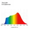 wykres pokazujący rozkład światła żarówki DayLight