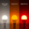 porównanie światła żarówek NightTorch, DayTorch i DayLight