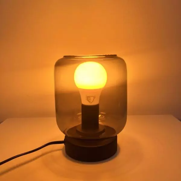 Lampka Aura z zadymionym kloszem i żarówką DayTorch