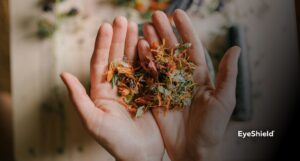 Naturoterapia